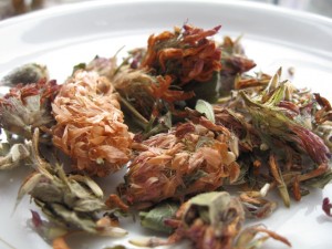 red clover herb tea 300x225 Red Clover Tea
